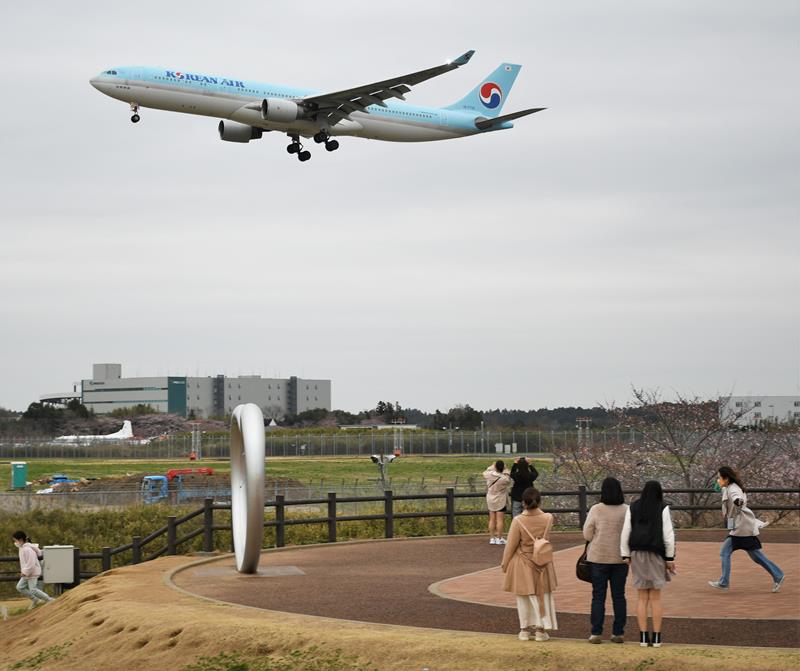 ひこうきの丘では成田空港に到着する航空機を間近に見られ、多くのファンらが集まる