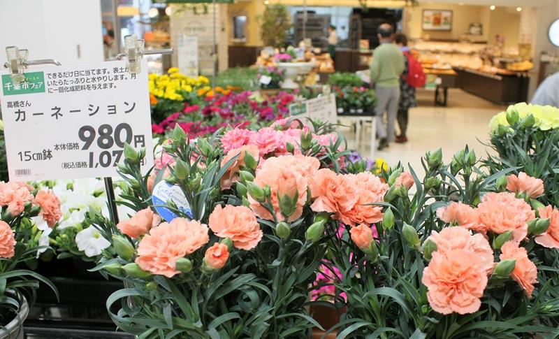 カーネーションなどの花や野菜が販売されている千葉市フェア＝１４日、同市緑区のイオンスタイル鎌取