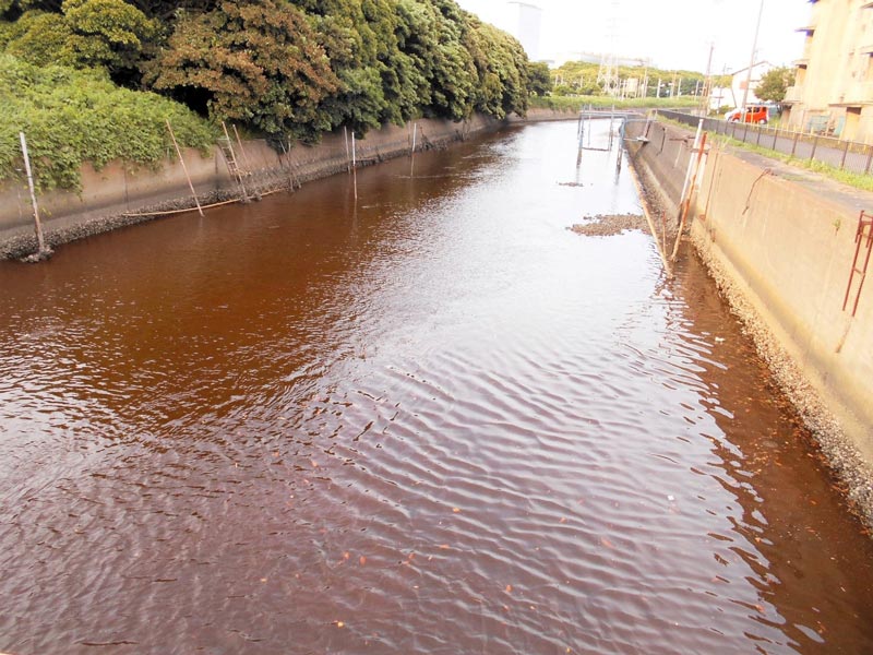 「脱硫液」の流出で赤黒く染まる水路＝２０２２年６月１９日１８時ごろ（君津市提供）