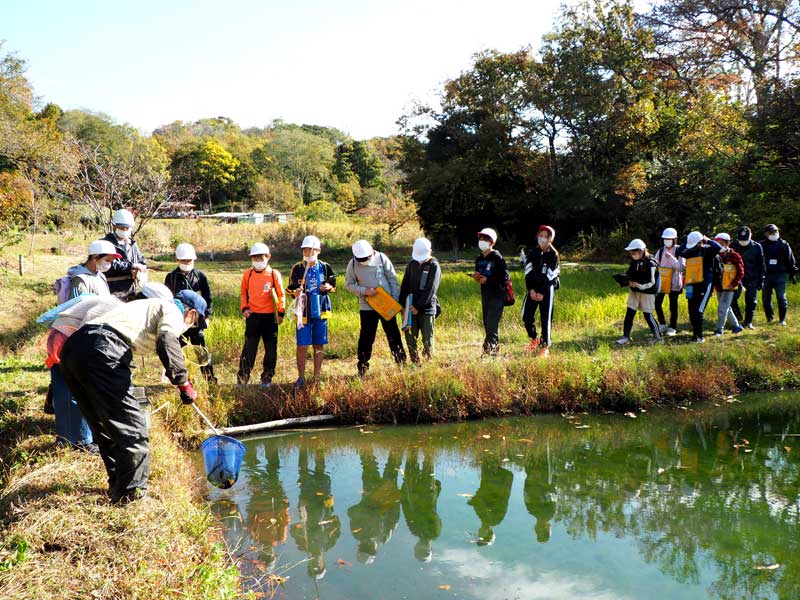 しいのもりを歩きながら、里山会のメンバーから生き物や植物について説明を受ける長浦小の児童＝袖ケ浦市