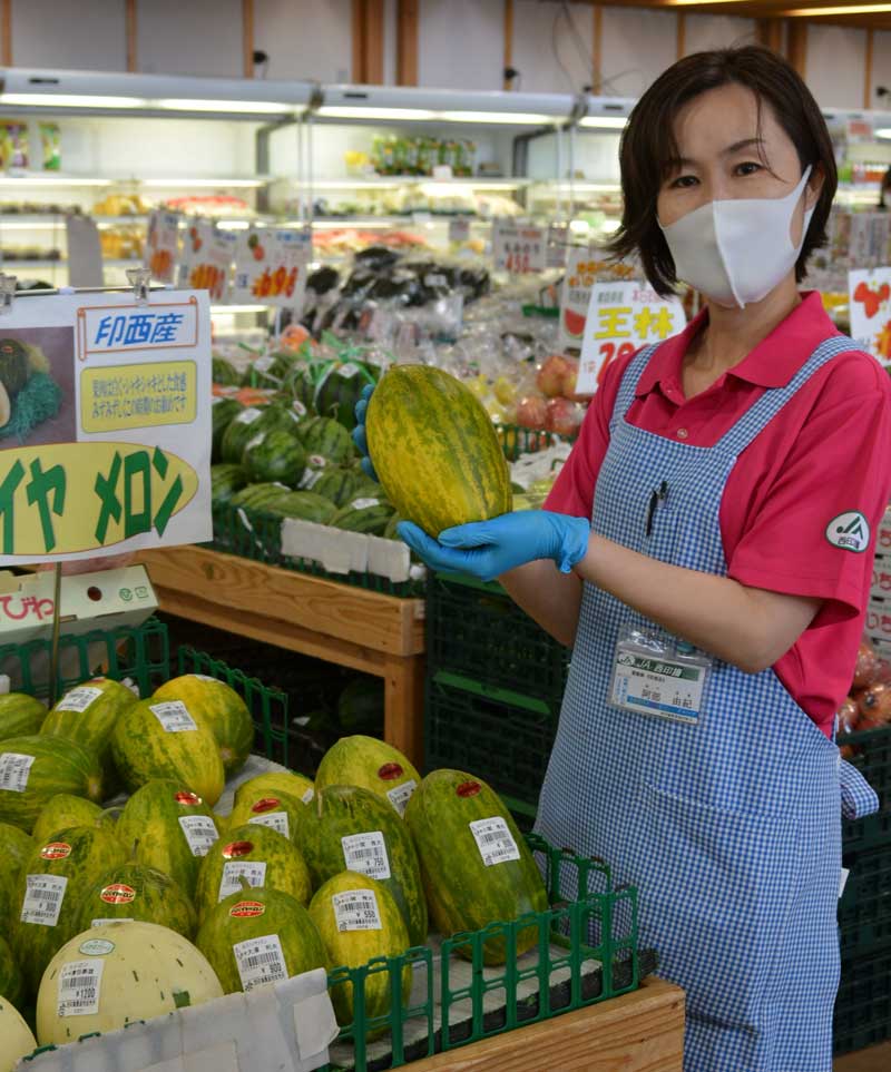 市特産のパパイヤメロン。最盛期を迎えており、大きいサイズで重さ1・5キロ近くある物もある=21日、印西市