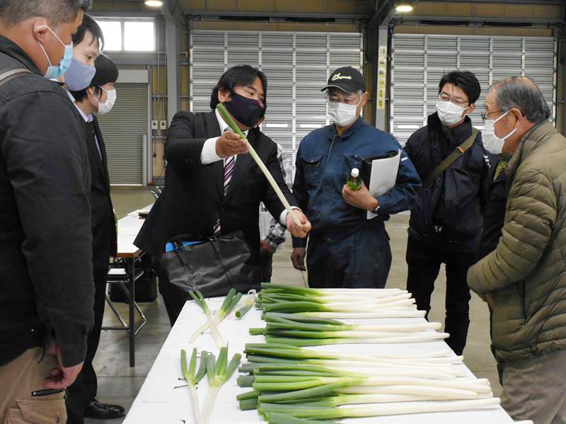 出荷規格を確認する部会員ら＝山武市