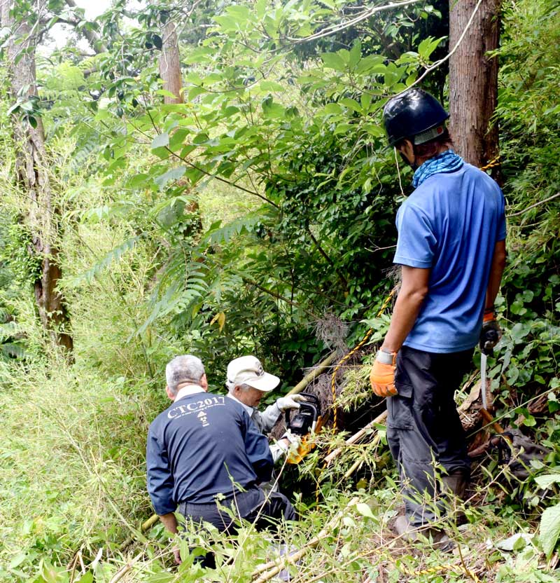 富山伏姫籠穴コースで崩落した登山道の代わりとなるルートを切り開く岩崎さんら＝７月９日