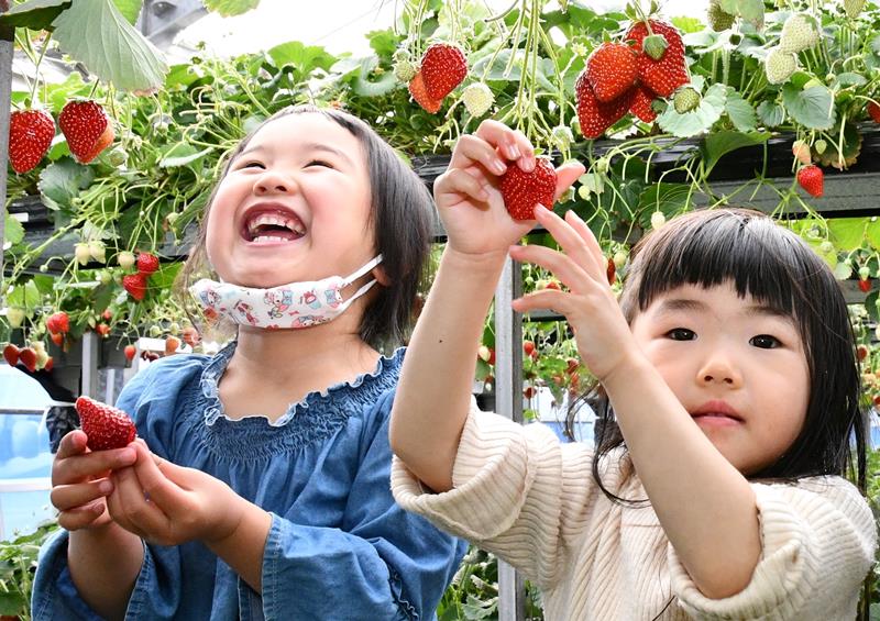 いちごを手に笑顔の子ども＝東庄町