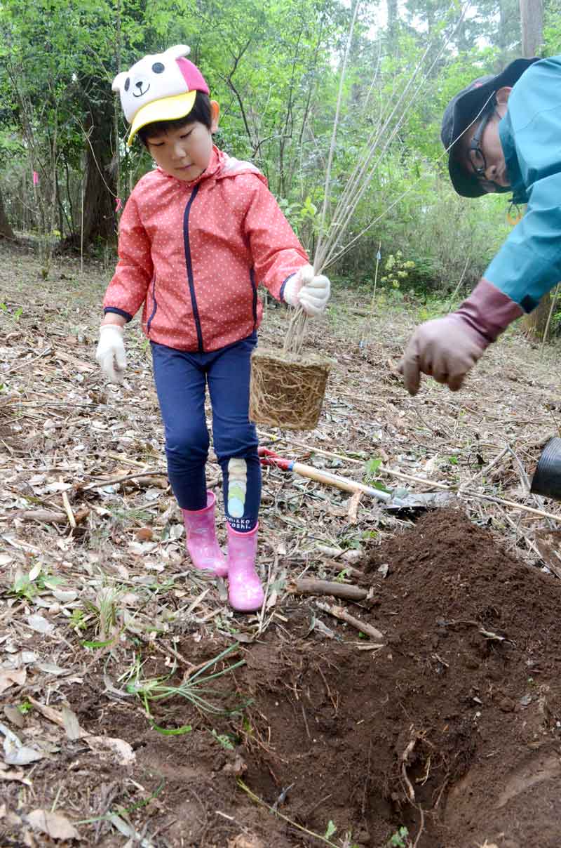 植樹をする児童＝山武市