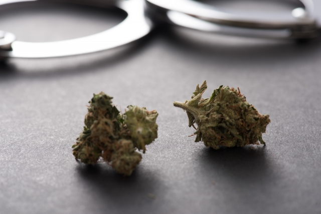 ※写真はイメージ