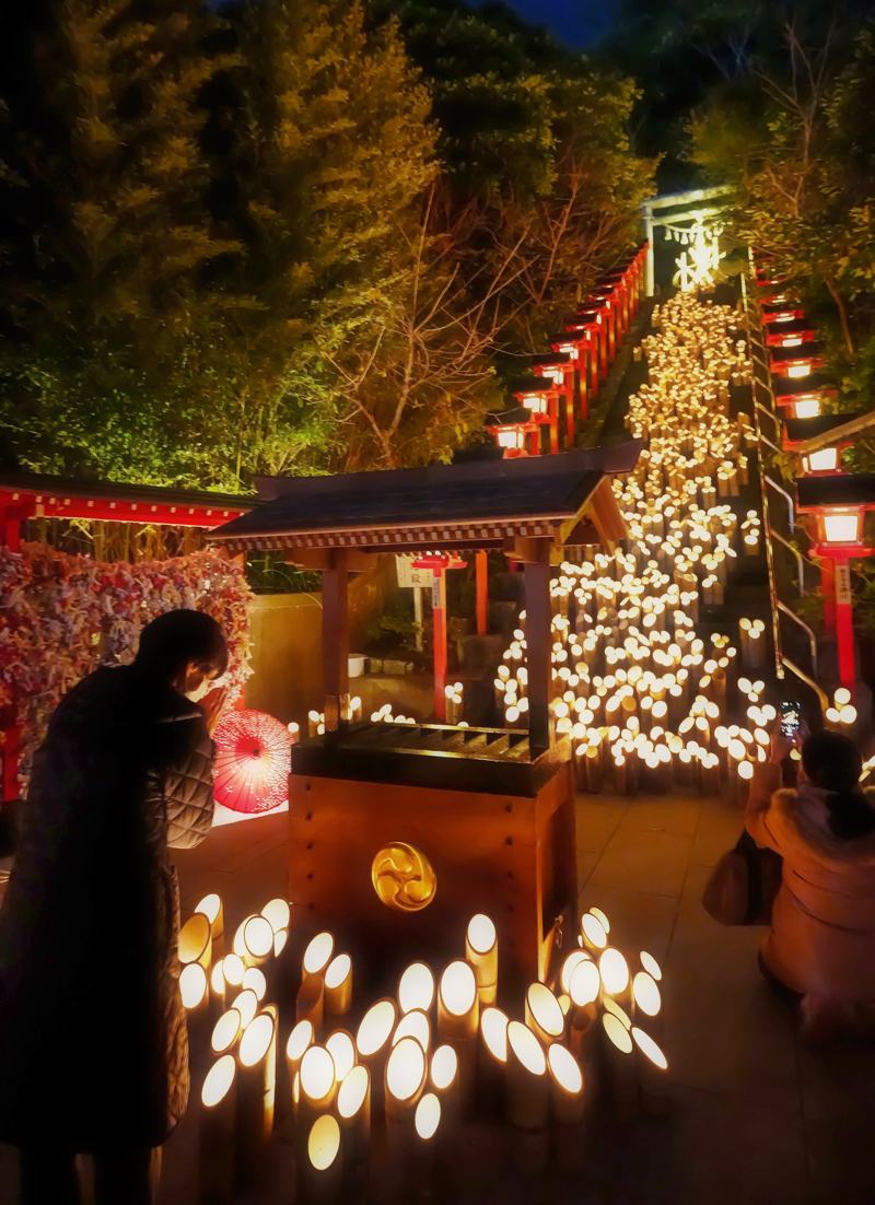 遠見岬神社の石段に並べられた竹灯籠=25日夜、勝浦市