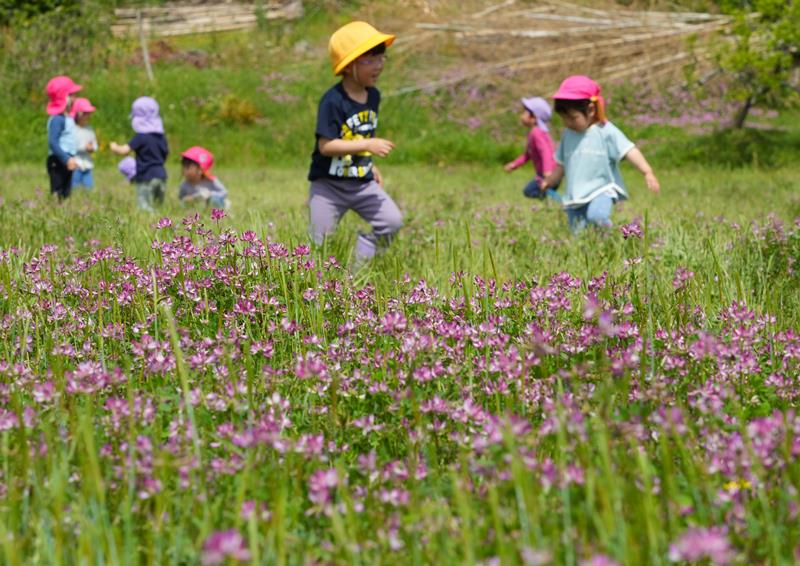 自分たちが種をまいたレンゲ畑で走り回る保育園児＝２６日、大多喜町下大多喜