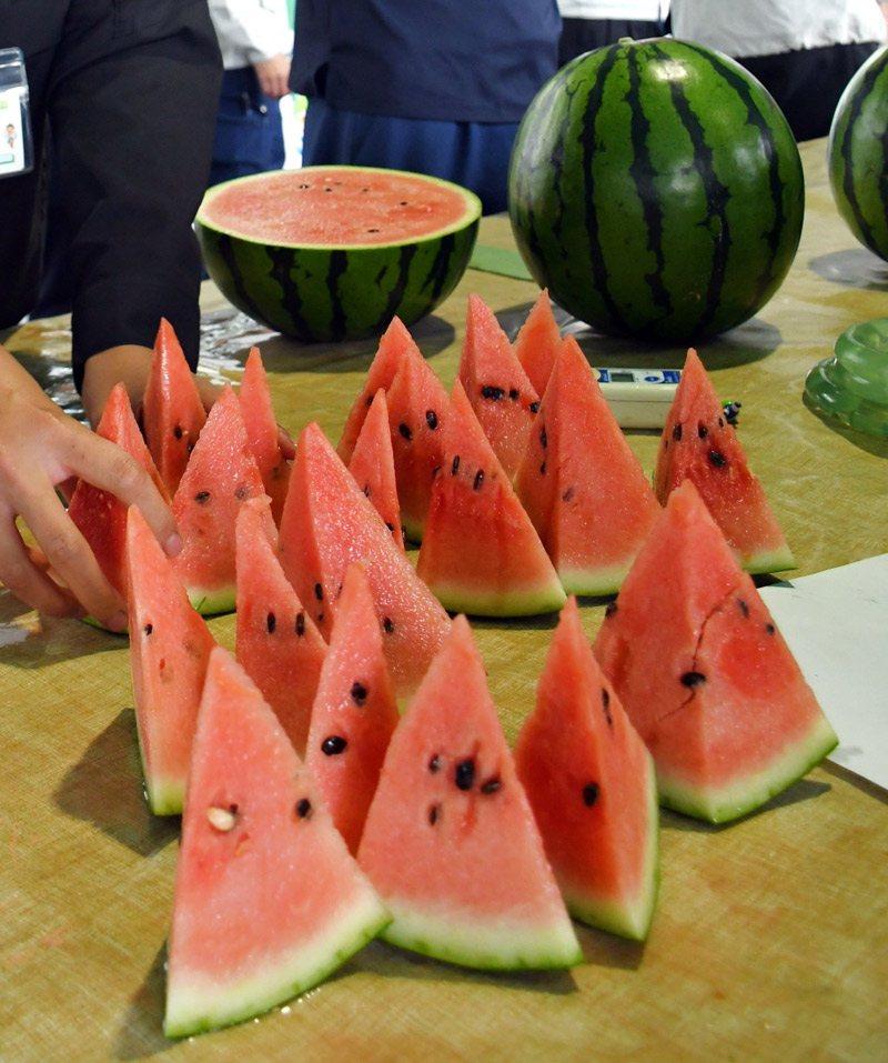 今年もしっかりとした甘みが出た富里スイカの赤い果肉