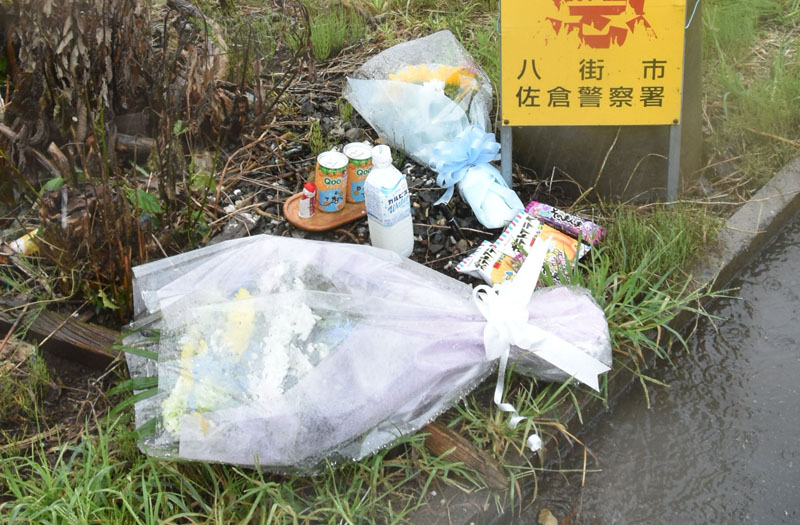飲酒運転トラックによる児童死傷事故の現場に手向けられた花や飲み物＝２８日、八街市
