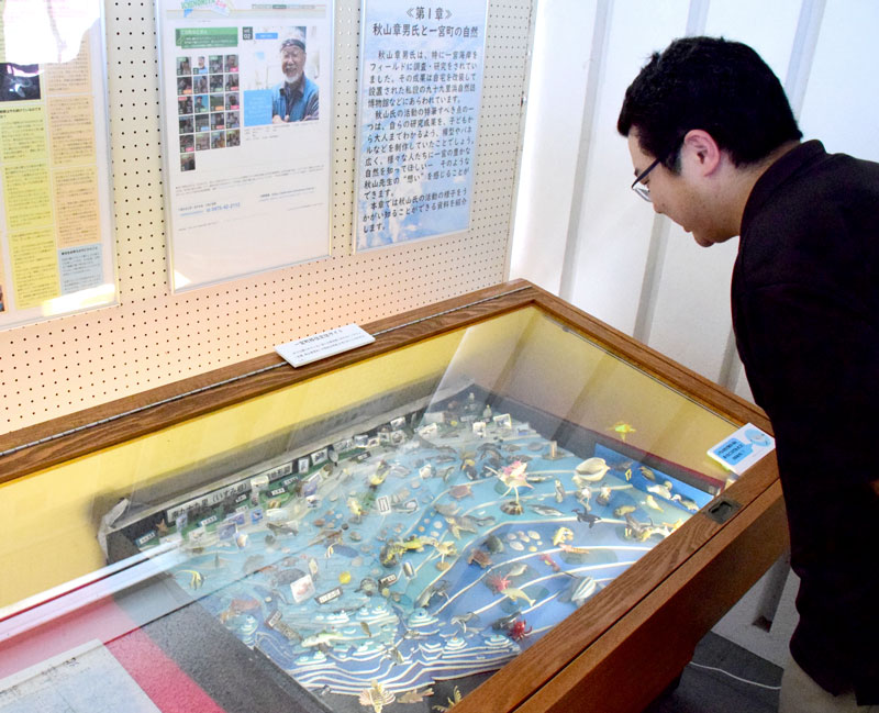 秋山氏と一宮の自然を紹介している企画展示＝一宮町中央公民館