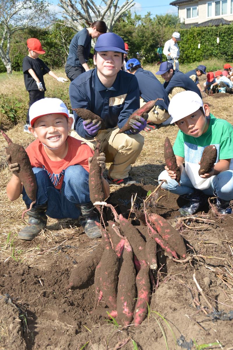 収穫したサツマイモを手に取る長者小の児童と大原高生=いすみ市