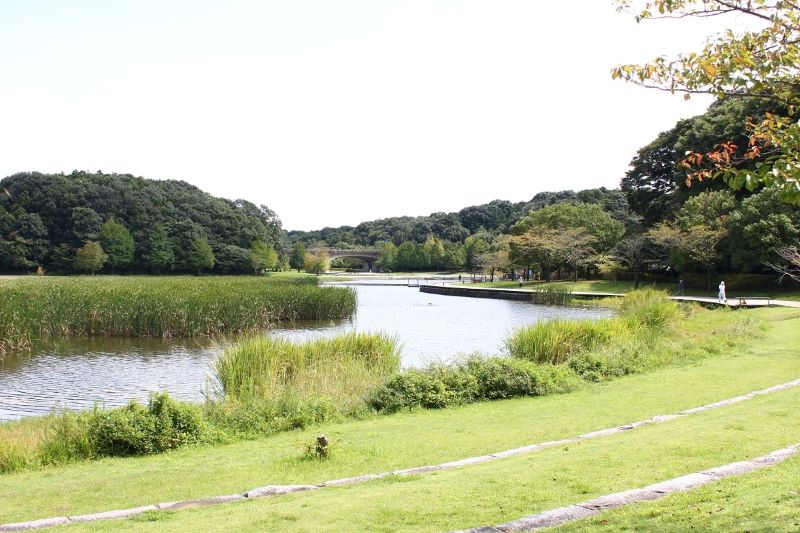 ２１世紀の森と広場＝松戸市