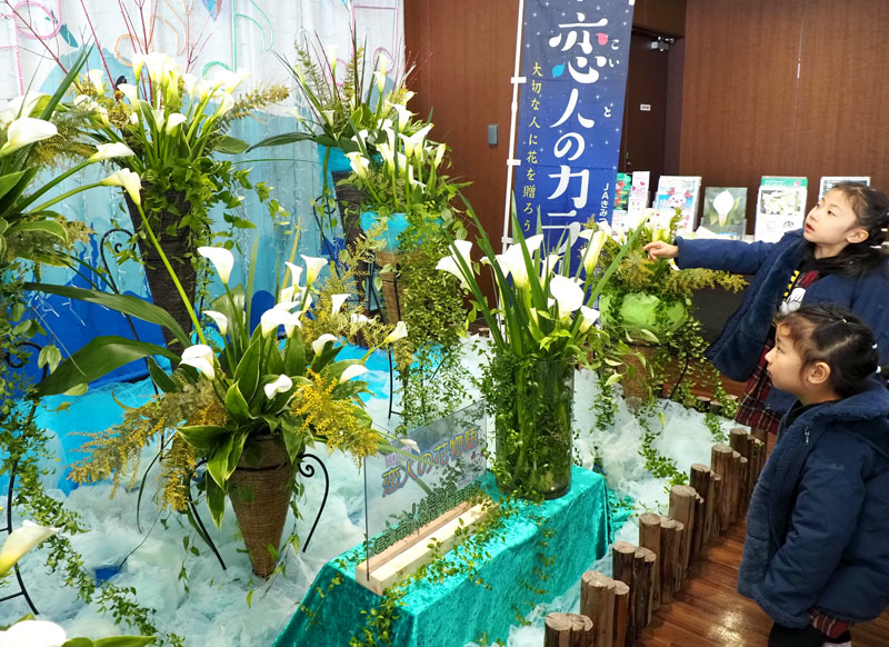 「海ほたる」で花の産地・君津市をアピールするカラーとミモザの展示＝木更津市
