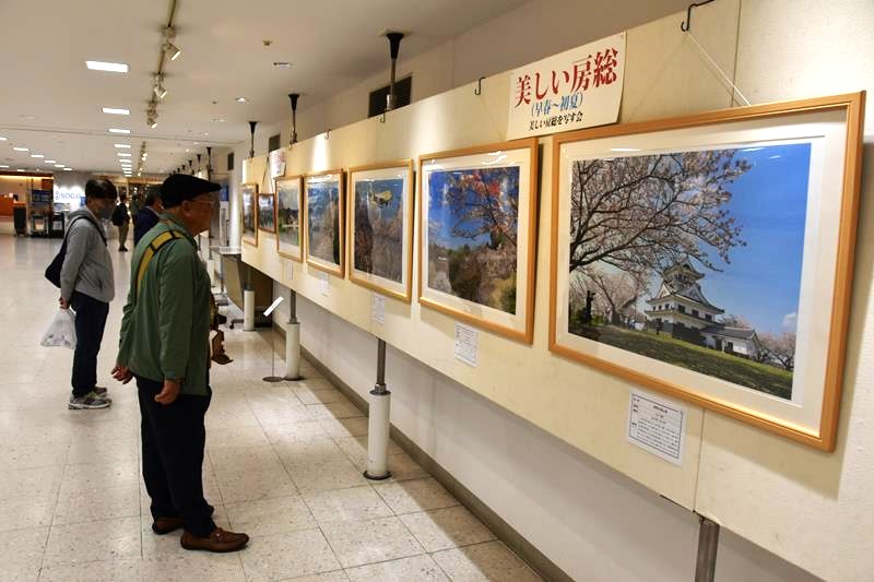 季節感あふれる作品が並ぶ展示＝千葉市中央区