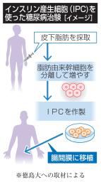 インスリン産生細胞（ＩＰＣ）を使った糖尿病治験（イメージ）