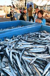 小名浜港で今季初めて水揚げされた秋の味覚サンマ＝２７日午前、福島県いわき市