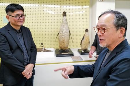 <p>　剥製と対面し意見交換する佐藤豊弘さん（右）と国立台湾博物館の陳登欽館長＝２９日、台北市（共同）</p>