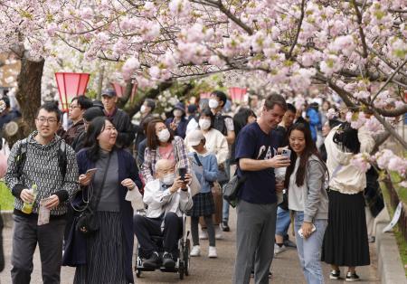 <p>　造幣局で始まった「桜の通り抜け」で、桜を楽しむ人たち＝９日午前、大阪市北区</p>