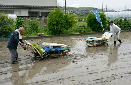 <p>　大阪府富田林市で行われた「奇跡の復興米」の田植え＝２日午前</p>