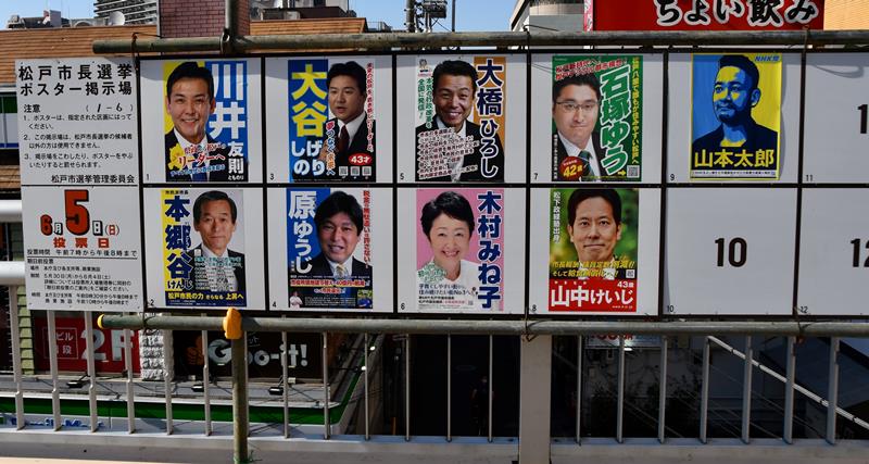 過去最多の立候補者９人のポスターが並ぶ掲示板＝松戸市