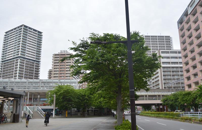 マンションが立ち並び、新住民の利用が多い東葉高速鉄道の八千代緑が丘駅周辺＝八千代市