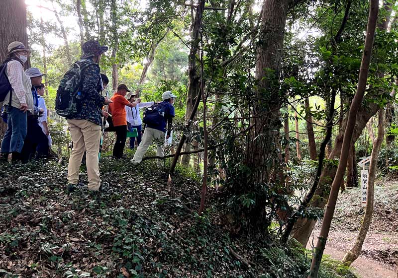 山城を散策する参加者ら=東庄町