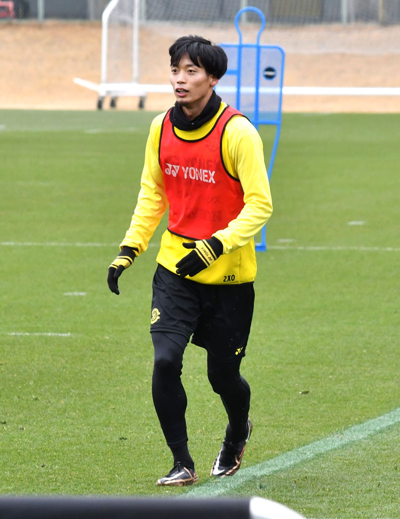 調整する柏の木下＝５日、柏市内