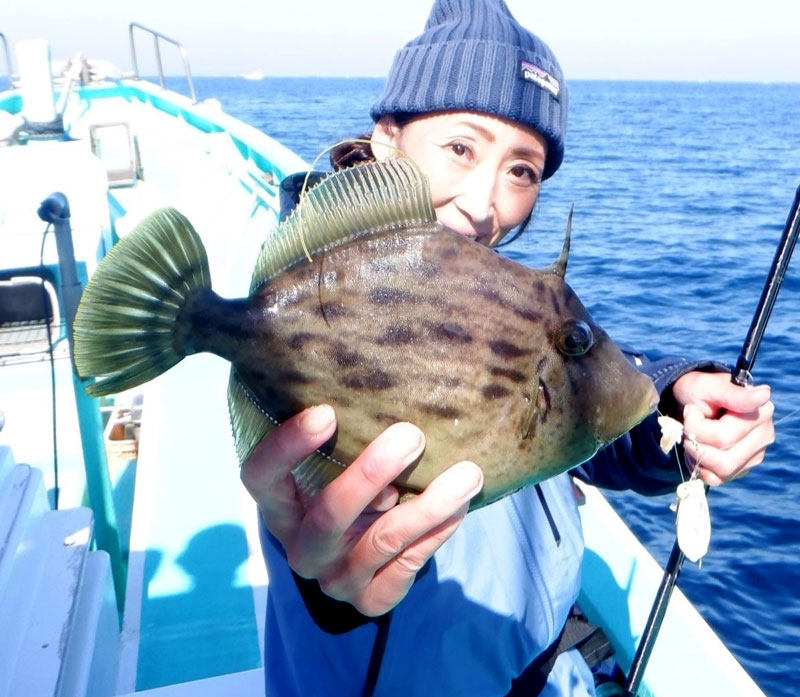 保田沖で釣り上げたカワハギ（写真は「村井丸」提供）