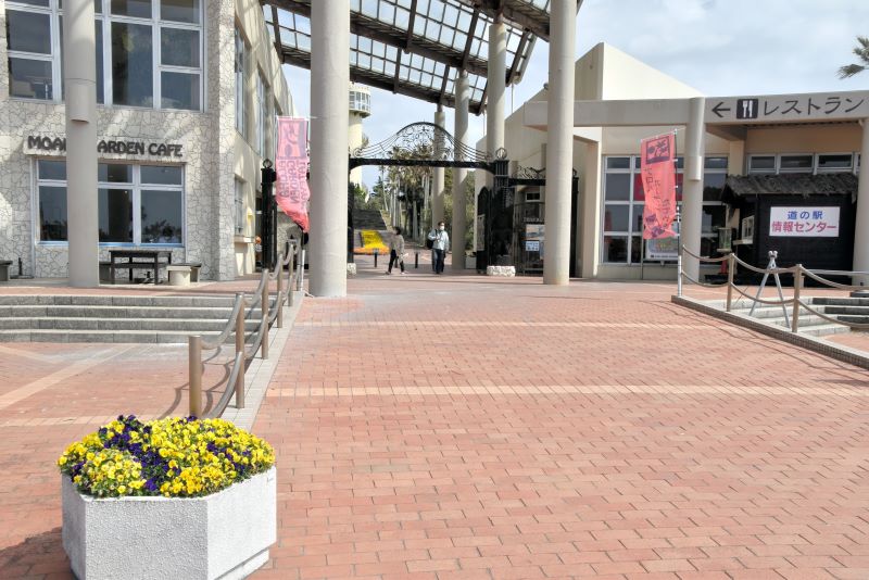 ３月末での閉園が決まったアロハガーデンたてやま＝館山市