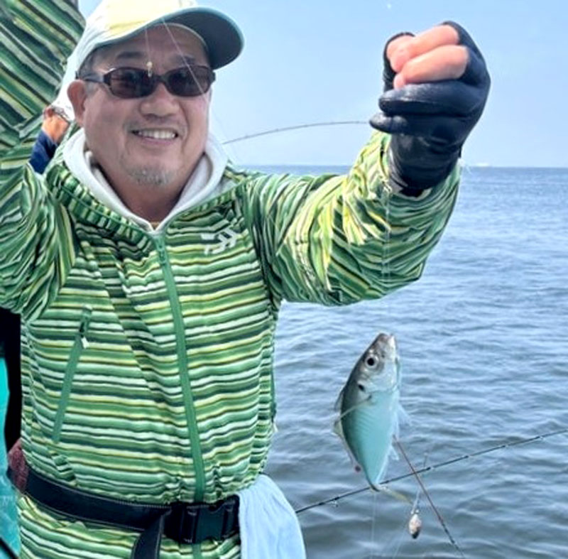 木更津沖で釣り上げたアジ(写真は「守山丸」提供)