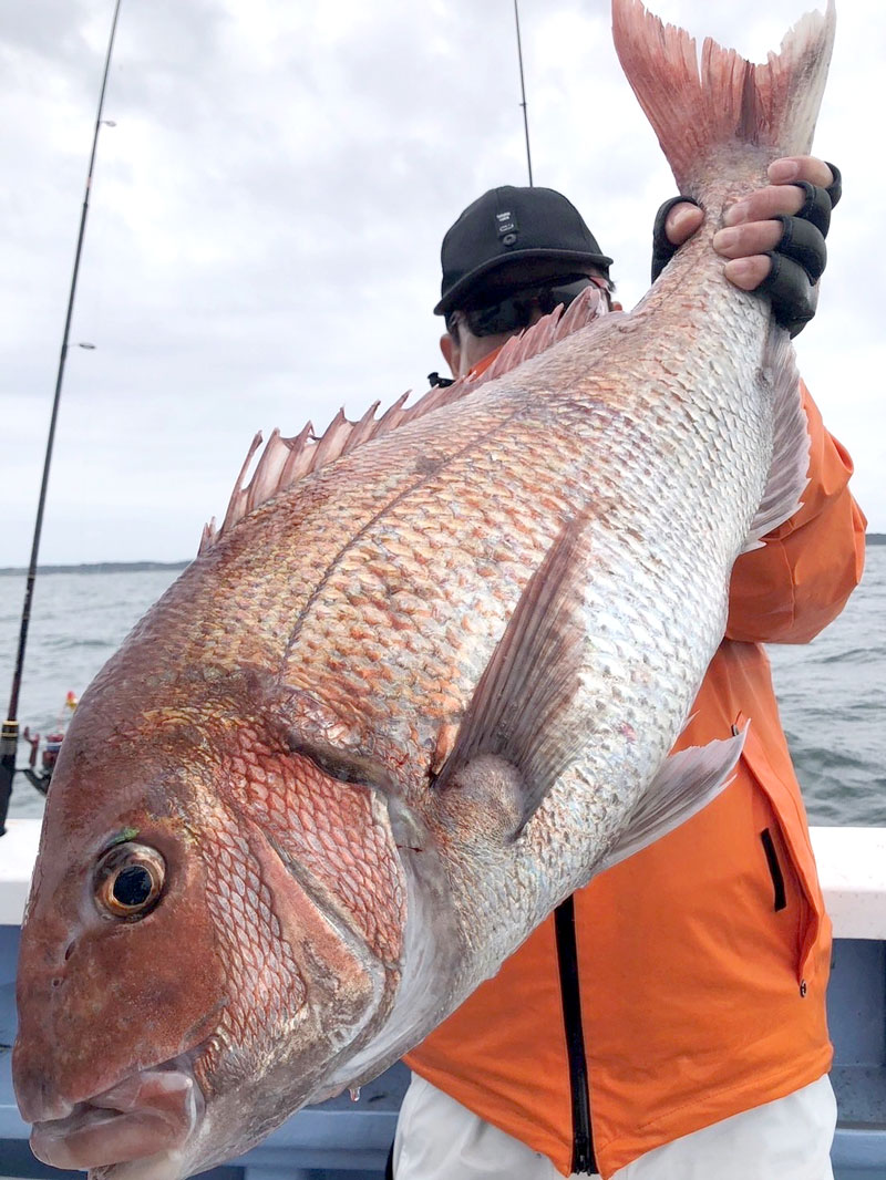 鹿島沖で釣り上げたマダイ(写真は「幸栄丸」提供)