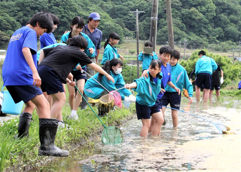 水田に足を踏み入れ、アオミドロをすくい取る生徒ら＝鋸南町