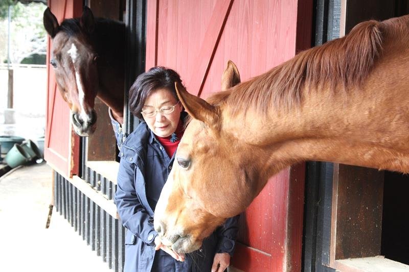 「里親」募り最後まで　互助制度で余生支える　香取　引退馬協会　【房総うま物語】（１５）