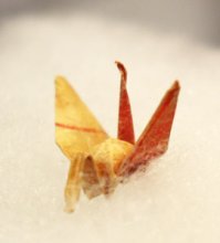 サダコ鶴、我孫子に　常設で平和の尊さ伝える　「原爆の子の像」モデル　【戦後７０年ちば】