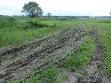 問われるリスク管理力　お粗末対応に批判噴出　花火大会中止の印西市　【地方発ワイド】