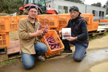独自技術で短期間熟成　小さな焼き芋女性に人気　さつまいもの石田農園（香取市）　【ちばの元気企業】