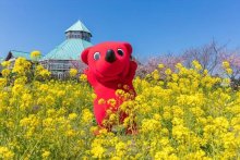千葉とく旅　県、全面停止に　まん延防止措置適用　ＧｏＴｏイートは利用自粛　新型コロナ