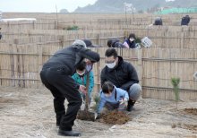 東京五輪会場の保安林再生　房総信用組合、クロマツなど植樹　一宮町・釣ケ崎海岸