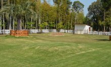 愛犬と一緒に里山保全　脱炭素焦点の複合施設　ドッグラン、カフェ、ＢＢＱ場　佐倉で２９日オープン　【ＳＤＧｓちば】