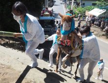 伝統の「神馬」奉納　石段駆け上がり大漁、豊作祈願　君津・人見神社