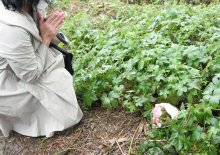 遺体は南朝芽さんと判明　悲報に落胆、河川敷で献花　ボランティア「何もできずごめんね」　松戸女児不明