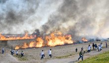 希少野鳥の生息地、「ヨシ焼き」で環境改善　利根川下流域、東庄中生徒も参加