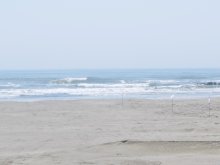 ２０代男性３人流される　九十九里の片貝中央海岸、サーファーが救助