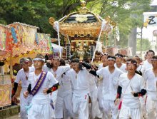 安房最大祭礼「やわたんまち」　５年ぶり勢ぞろいで魅了　館山に神輿や山車集結、１７日も