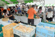 今が旬！日本一の特産地・八街で「落花生まつり」　粒ぞろいの魅力発信　目玉の試食・即売会には長蛇の列