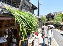 「菖蒲葺き」で邪気払い　香取・佐原の町並み、端午の節句合わせ