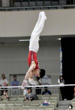 角皆、個人でも総合Ｖ２　体操　全国高校総体　