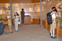 常設展示、五感使い解説　じかに磯の生き物観察　県立中央博物館分館・海の博物館　【涼んで学ぶ県南ミュージアム巡り】（２）