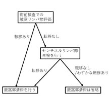 リンパ節を限定摘出　合併症頻度下げる手法　早期乳がんの腋窩手術　千葉県がんセンター乳腺外科医員　山崎美智子【９月はがん征圧月間ちばがんにうち克つ】（１２）